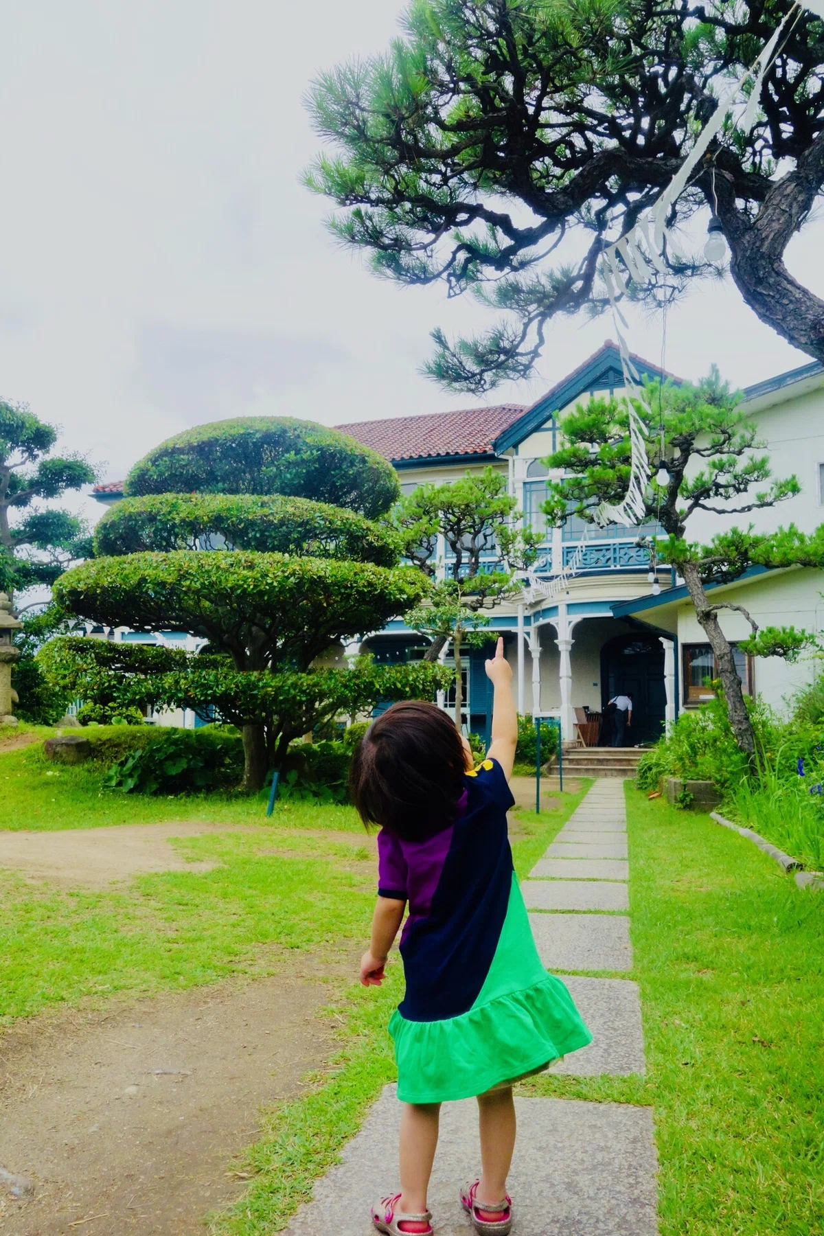 画像1