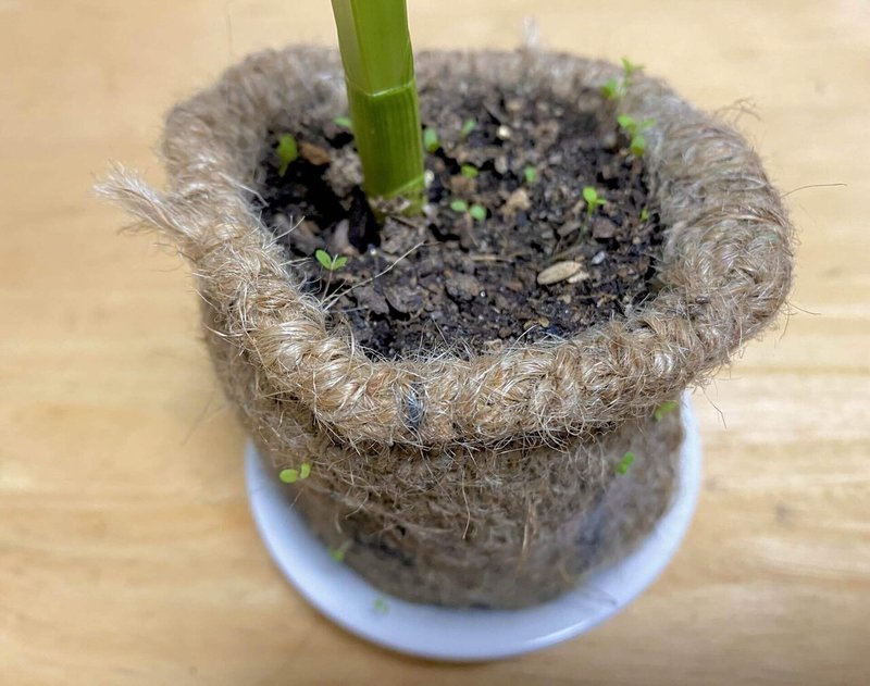 コーヒー豆袋でなにつくる Jude Flower Pot Mio Note コーヒー豆袋でなにつくる Jude Flower Pot Mio Note