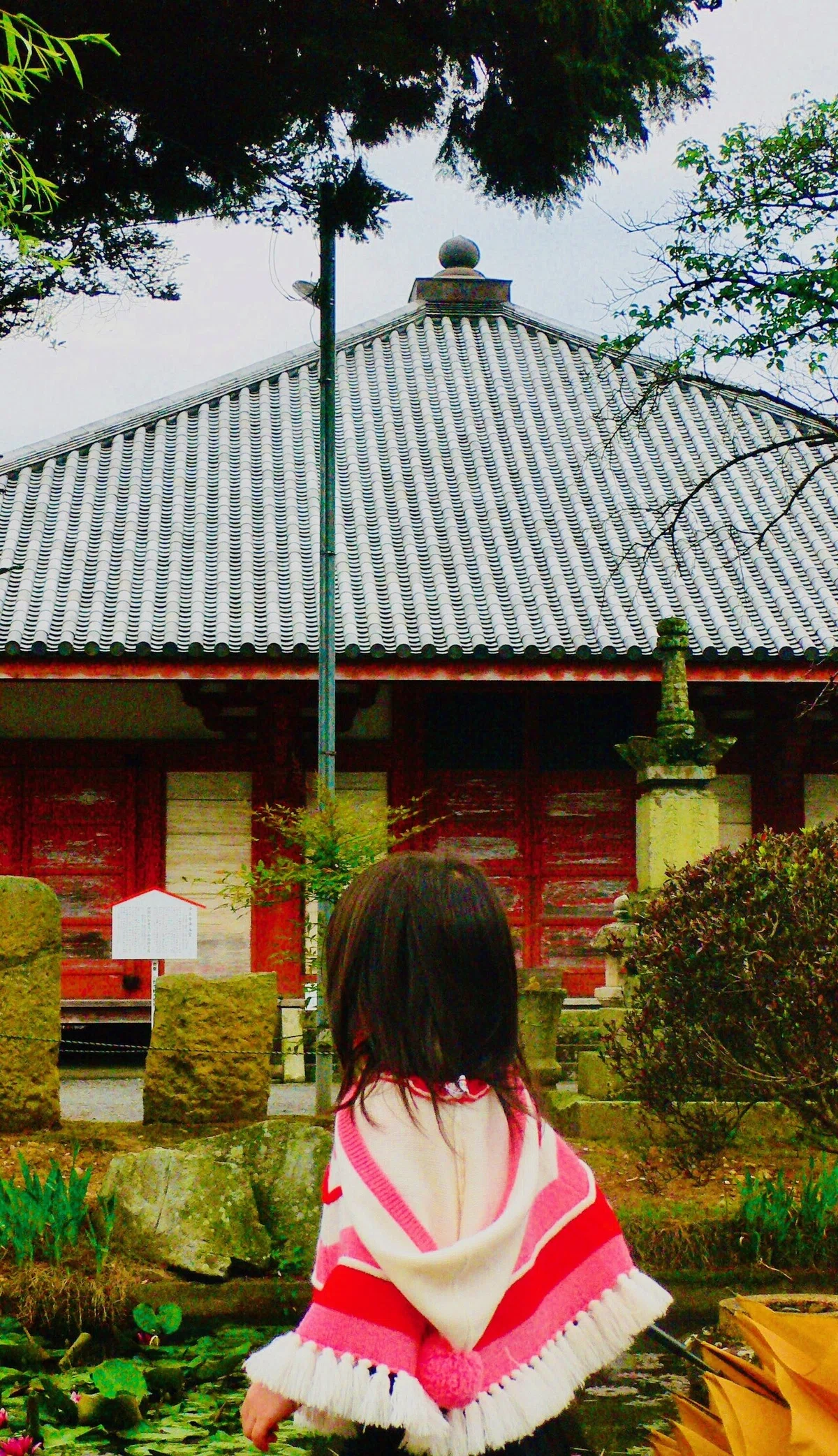画像6