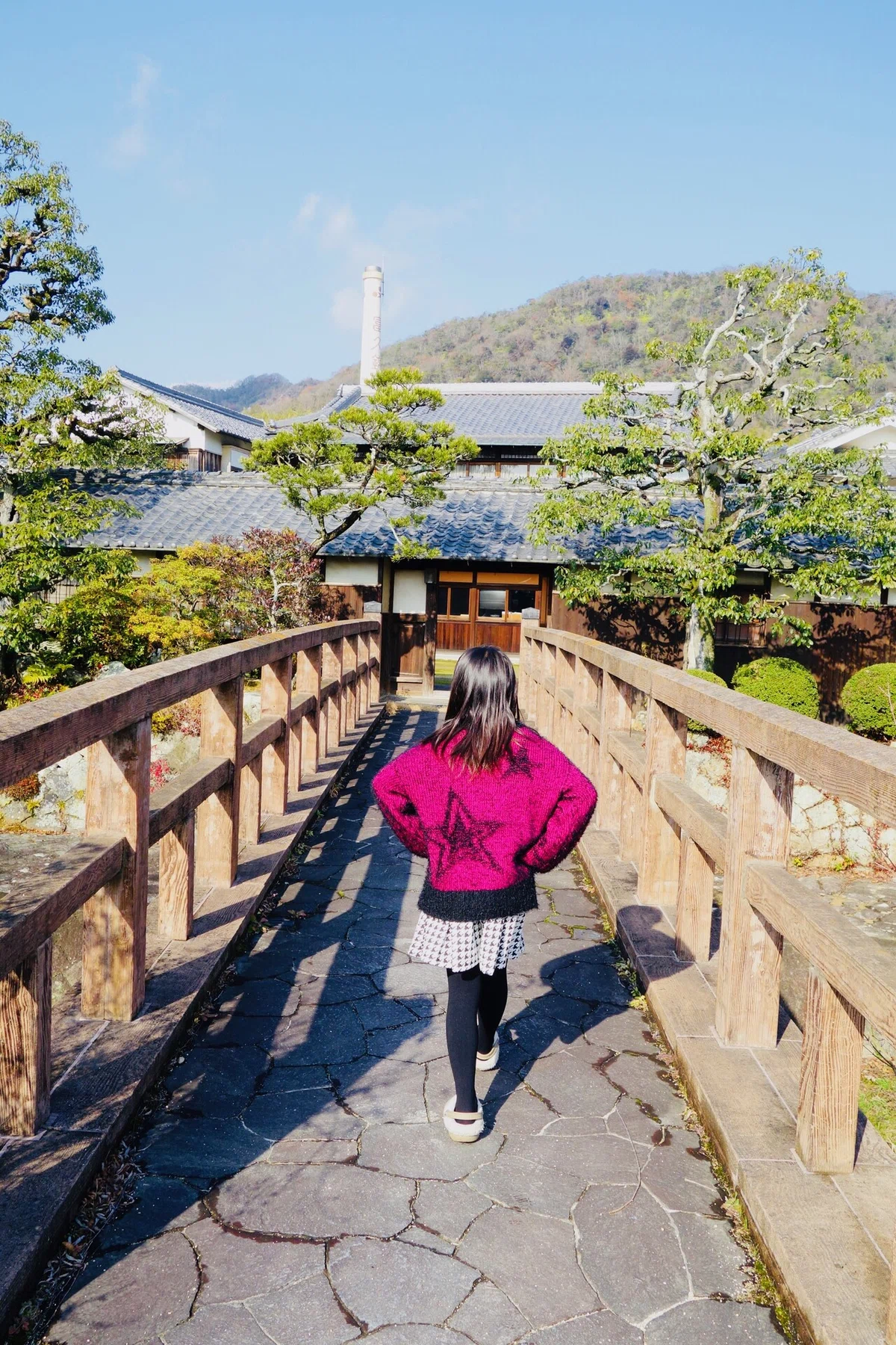 画像7