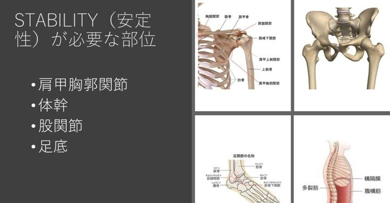 痛みを出さない身体作り の新着タグ記事一覧 Note つくる つながる とどける 痛みを出さない身体作り の新着タグ記事一覧 Note つくる つながる とどける