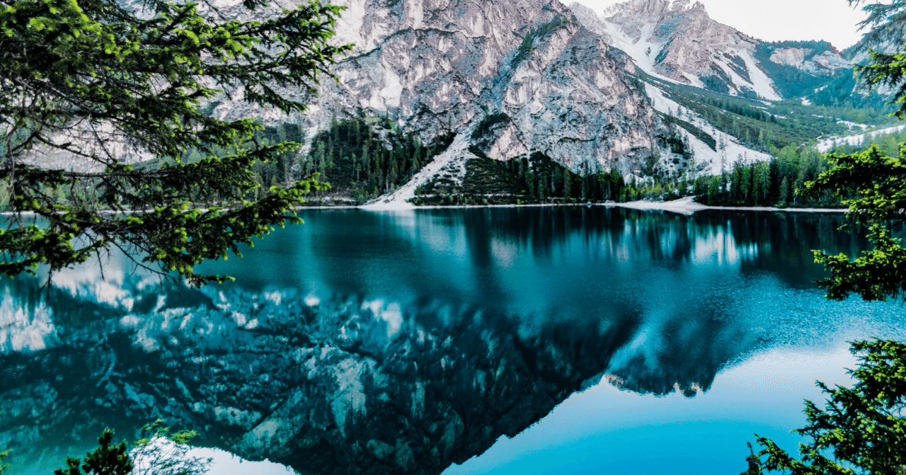 株式会社FiNC Technologiesを退職しました｜Soya Tanaka｜note アイキャッチ