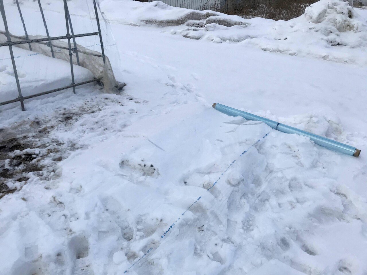 雪の上でビニールハウスの妻面づくり 吉田拓実 さいこうファーム Okhotsk Bihoro Note