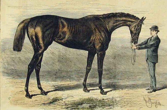 英国編】第1章-2・英国のチャンピオン競走馬105頭のリスト｜BKC
