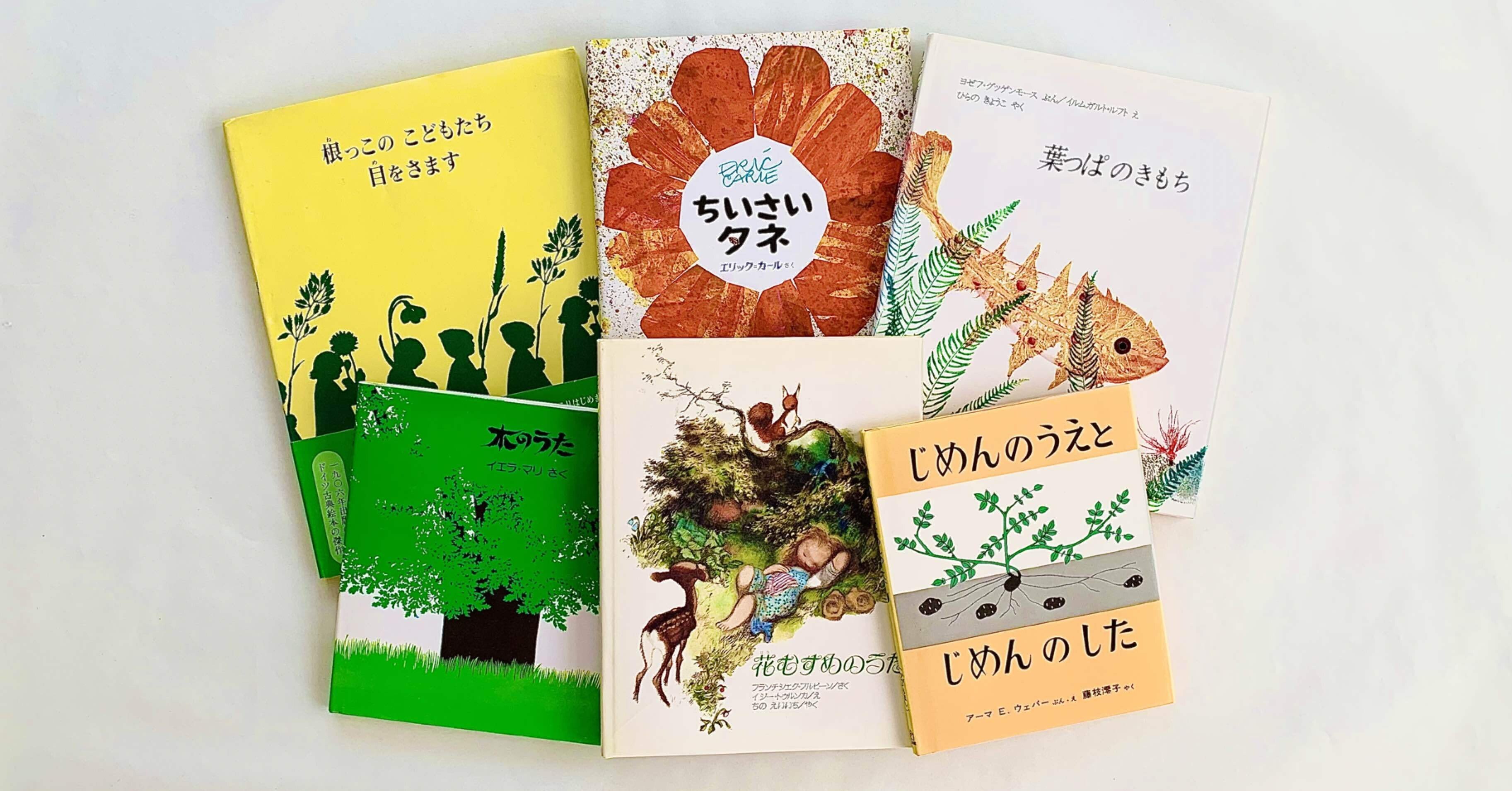 ダマヌール本『PARLARE CON LE PIANTE（植物と話す）』 本 【保証書付