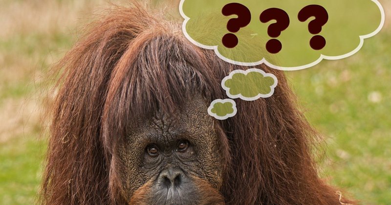 女王の教室 の新着タグ記事一覧 Note つくる つながる とどける