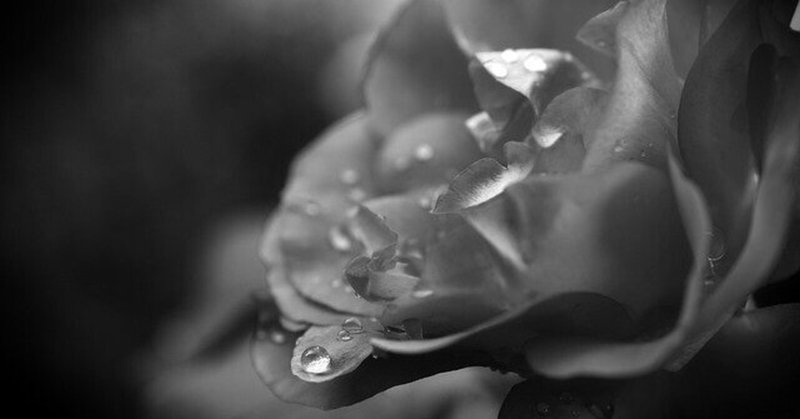 シルエットロマンス の新着タグ記事一覧 Note つくる つながる とどける