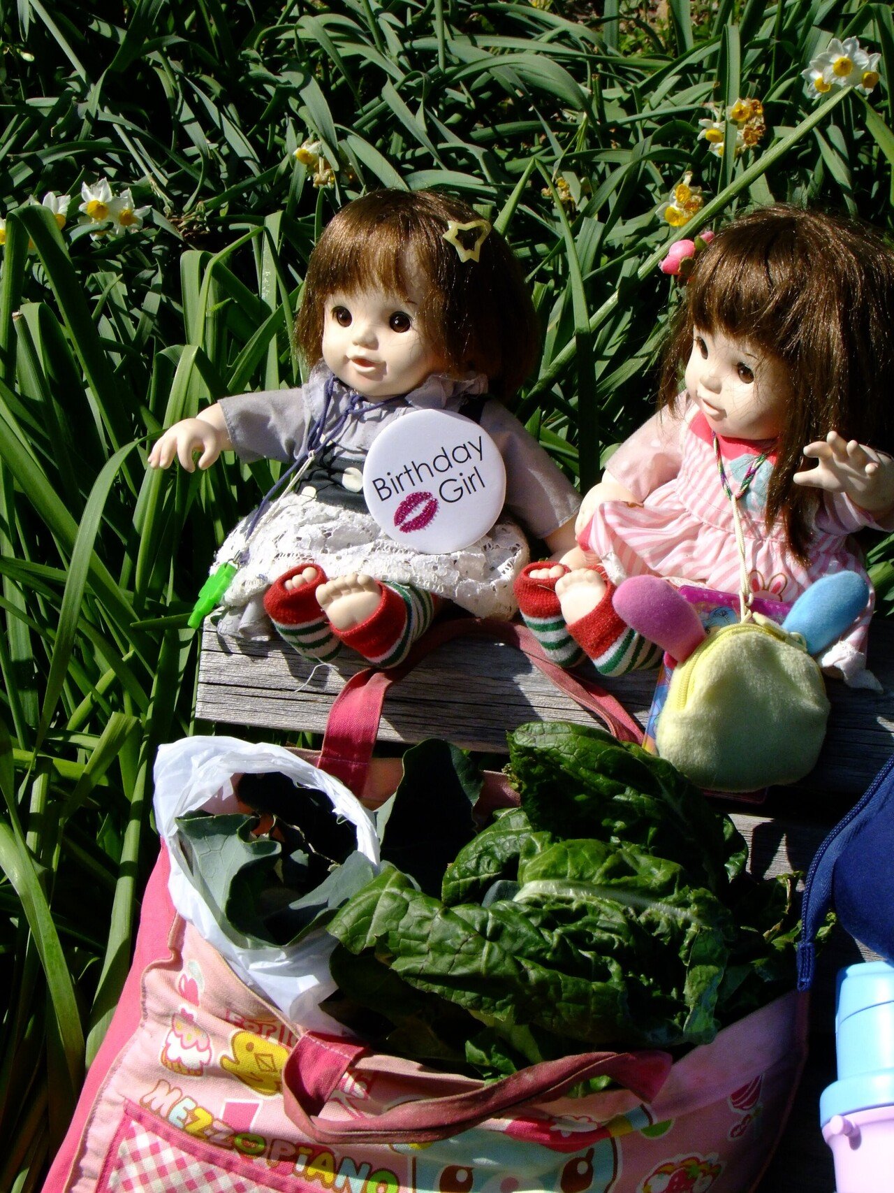 昨日 三浦で買った野菜 高菜とブロッコリー ナルミヤのメゾピアノのバックに入れてぽぽちゃんと記念撮影 今夜の食卓を彩ります 三浦市 小松ヶ池 Popodoll Note