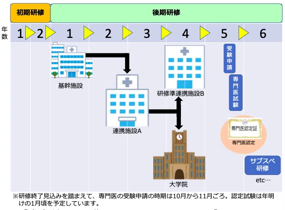 専門医試験までの道のり