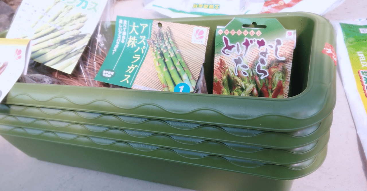 家庭菜園 アスパラをプランターに植え替え Uho Note