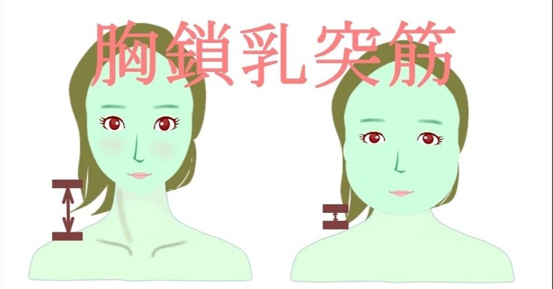 首を長くする方法 の新着タグ記事一覧 Note つくる つながる とどける
