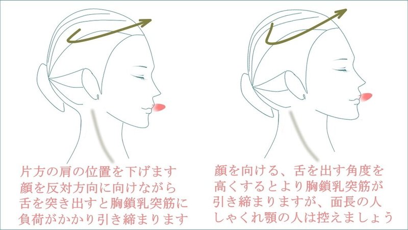 首細くする胸鎖乳突筋の引き締め方法 首トレーニングとストレッチ方法 お顔の整体師 戸塚哲春 Note 首細くする胸鎖乳突筋の引き締め方法 首トレーニングとストレッチ方法 お顔の整体師 戸塚哲春 Note