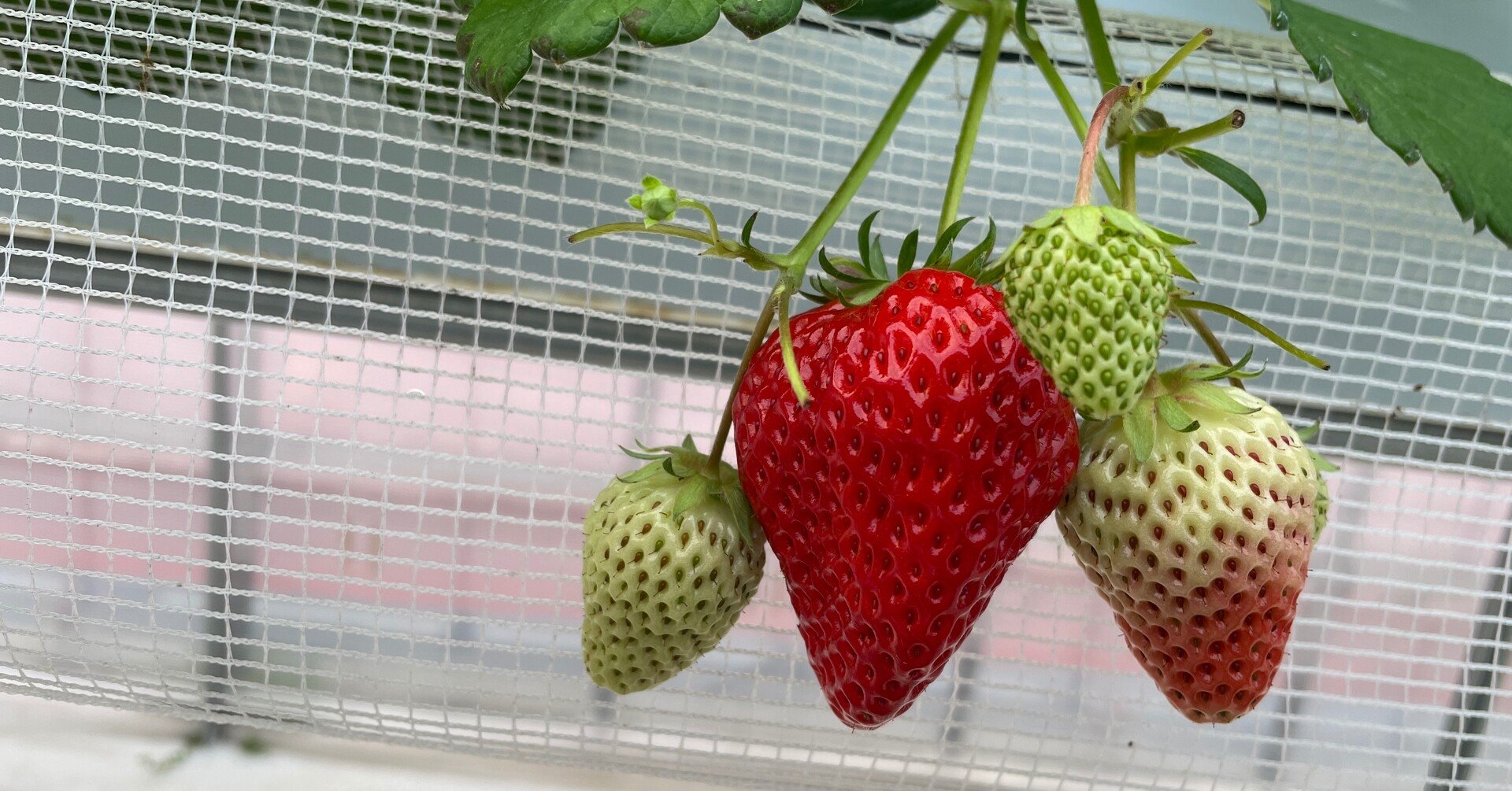 こんにちは ラ フレーズ イズモです ラ フレーズ イズモ Note