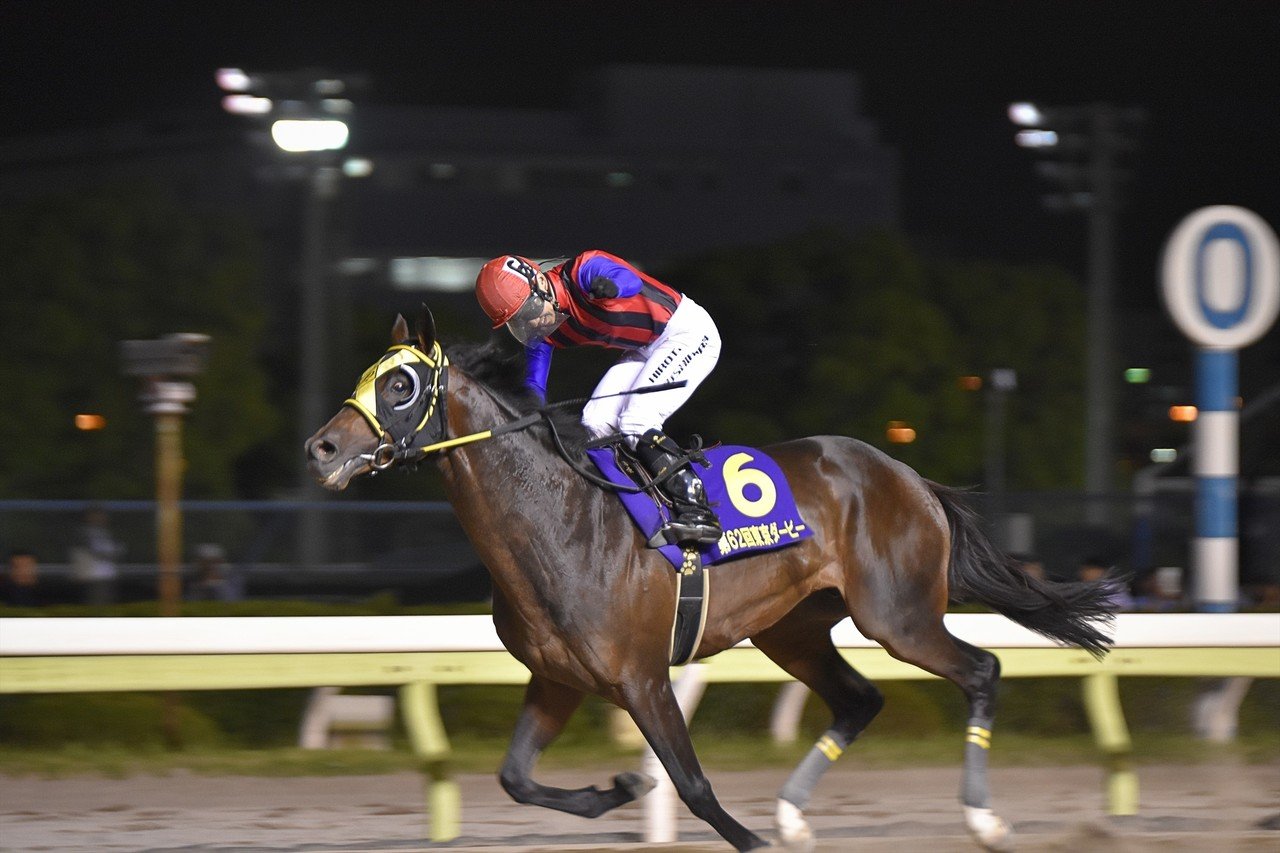 競馬 Plain Vol 11 若武者の挑戦 第62回 東京ダービーの日 16 06 08 クリコ 更新終了 Note