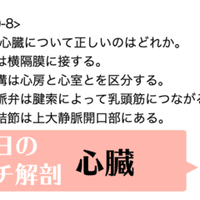 単層立方上皮 ひかえめでかわいい上皮 黒澤一弘 Note 単層立方上皮 ひかえめでかわいい上皮 黒澤一弘 Note