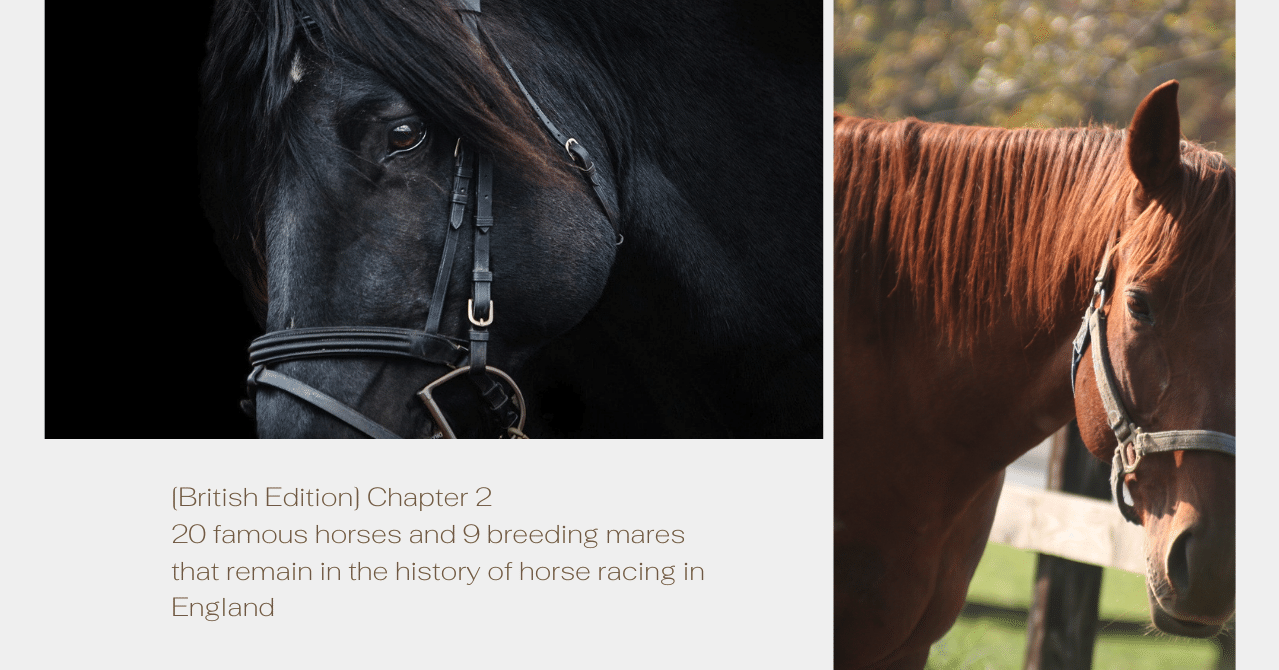 70年代 イギリスの競走馬 雑誌「The British Racehorse」 70年代 イギリスの競走馬 雑誌「The British Racehorse」