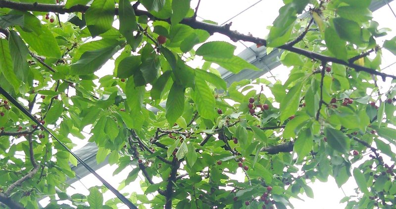 絶対きれいになってやる の新着タグ記事一覧 Note つくる つながる とどける 絶対きれいになってやる の新着タグ記事一覧 Note つくる つながる とどける