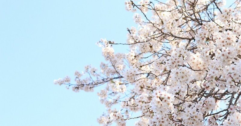 経歴紹介 宮生らいち 宮桜りま について 宮生らいち Note 経歴紹介 宮生らいち 宮桜りま について 宮生らいち Note