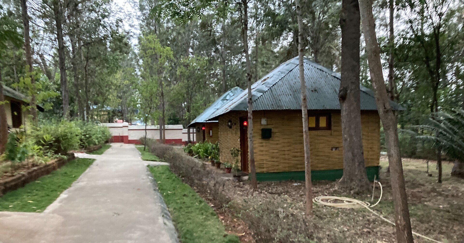 18．南インドマイソール：本場のアーユルヴェーダで、お肌も心も