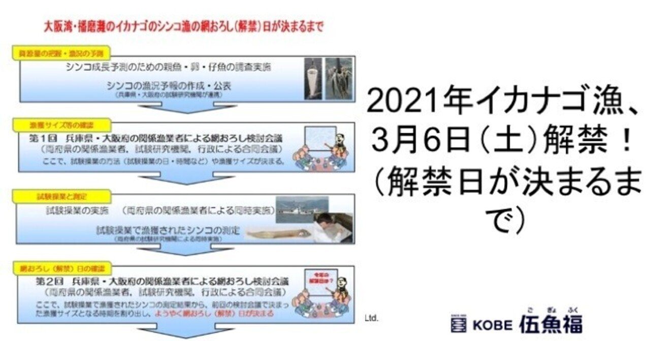 いかなご漁 の新着タグ記事一覧 Note つくる つながる とどける
