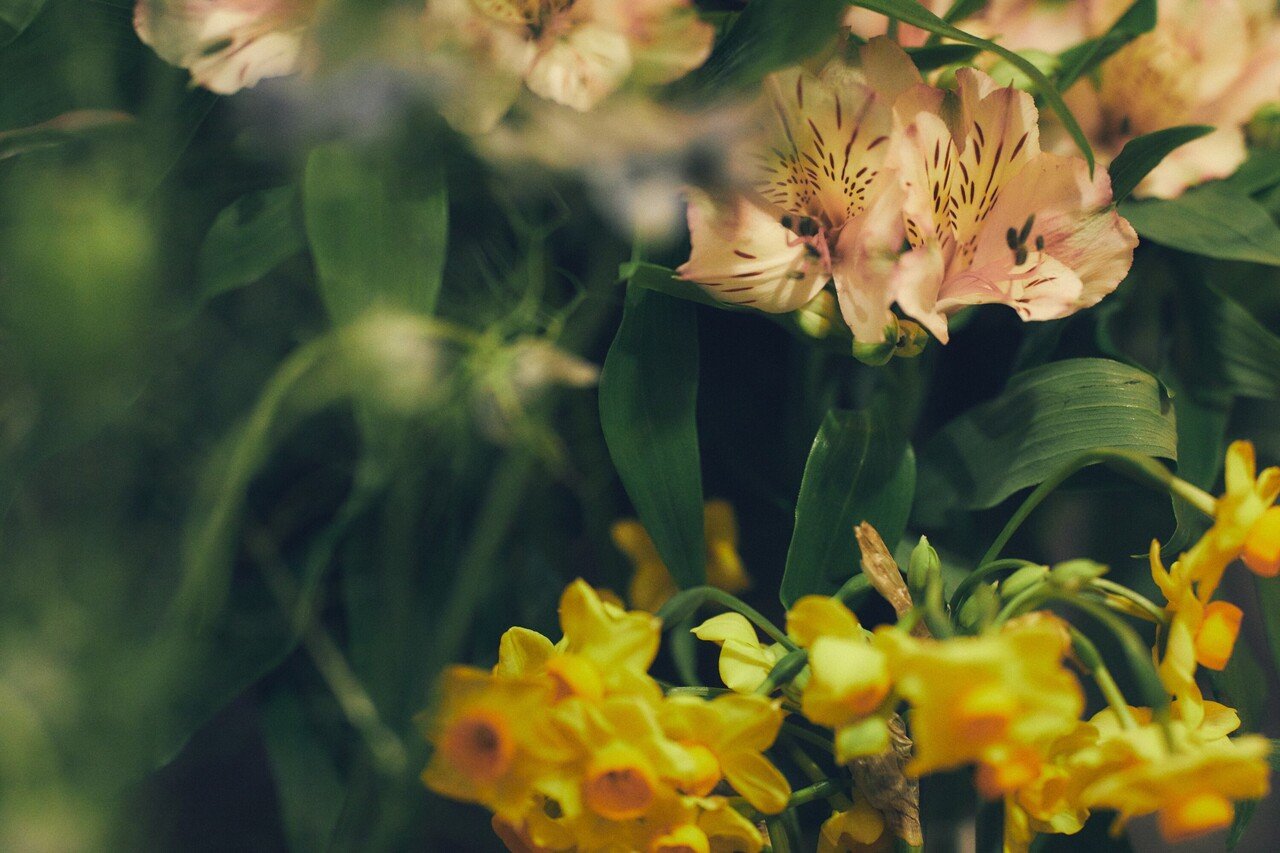 自分のために花屋に通う 池尻大橋 B H R Coffee Flowers にて Blue Wellmaga Blue ブルー Note 自分のために花屋に通う 池尻大橋 B H R Coffee Flowers にて Blue Wellmaga Blue ブルー Note