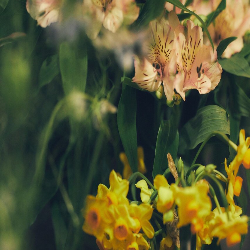 自分のために花屋に通う 池尻大橋 B H R Coffee Flowers にて Blue Wellmaga Blue ブルー Note