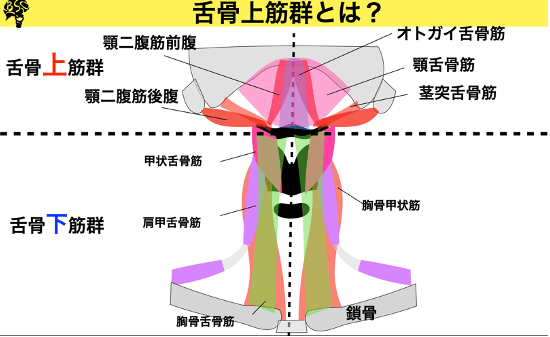 図1