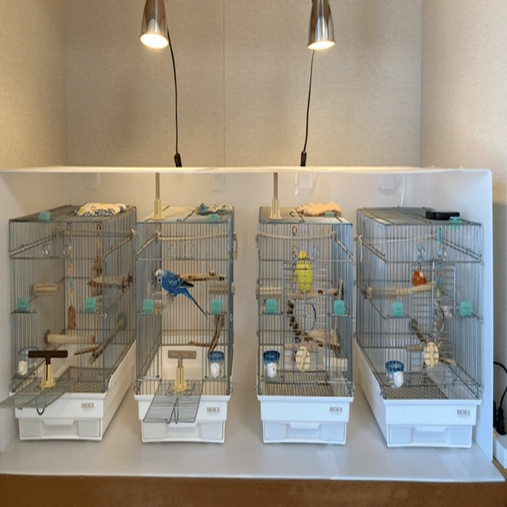 インコの保温カバーの作り方 インコまるけ Note