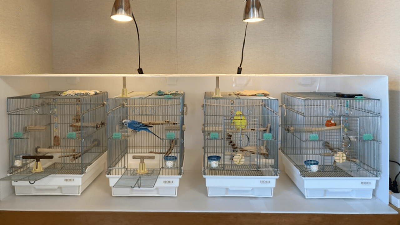 インコの保温カバーの作り方 インコまるけ Note インコの保温カバーの作り方 インコまるけ Note