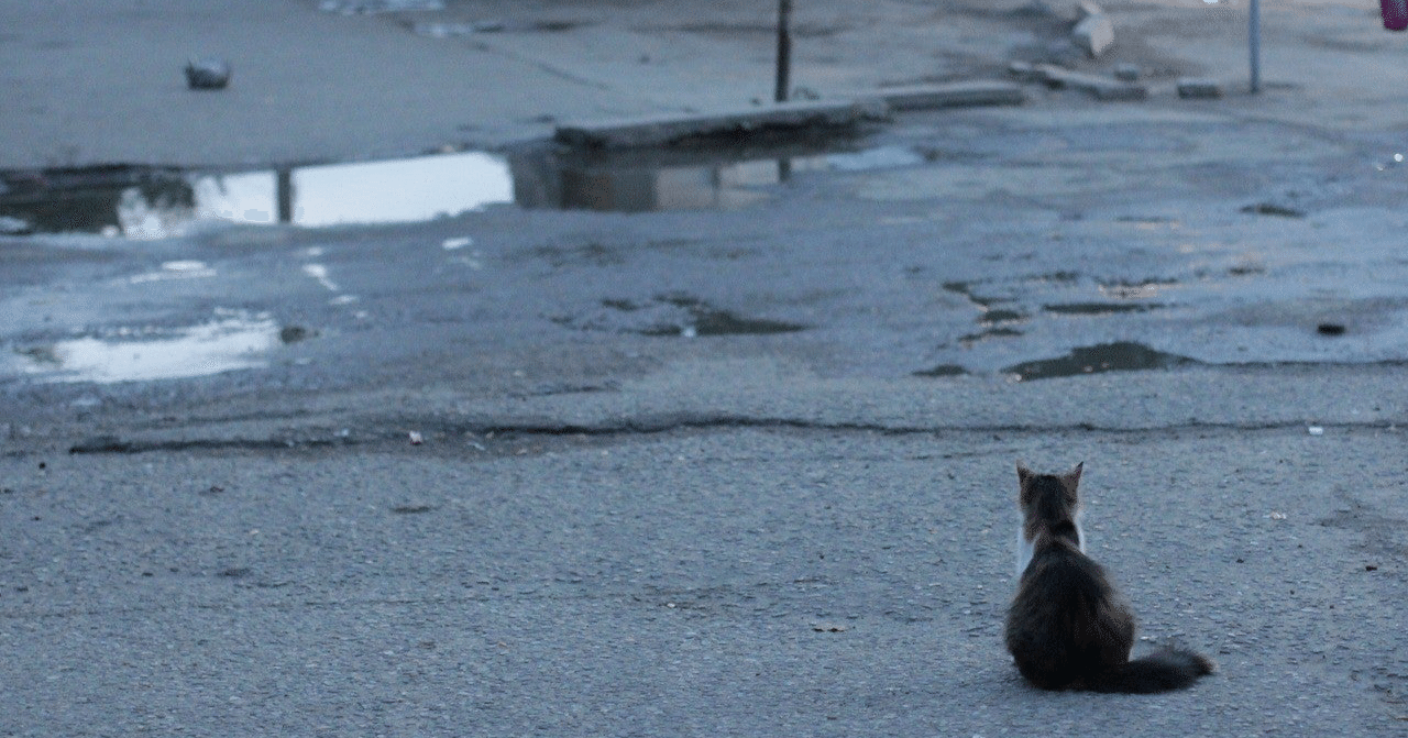 タルコフ Eft の購入について私が困った事 花日和じね Note