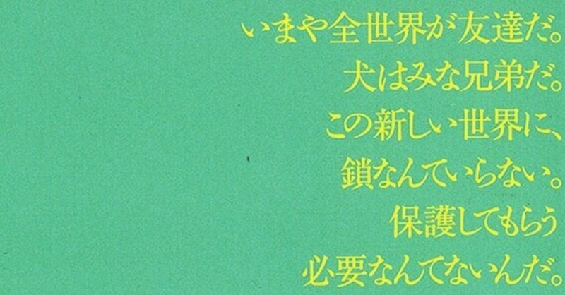 ヴァージニア ウルフ フラッシュ ある犬の伝記 訳者解題 Text By 岩崎雅之 幻戯書房編集部 Note