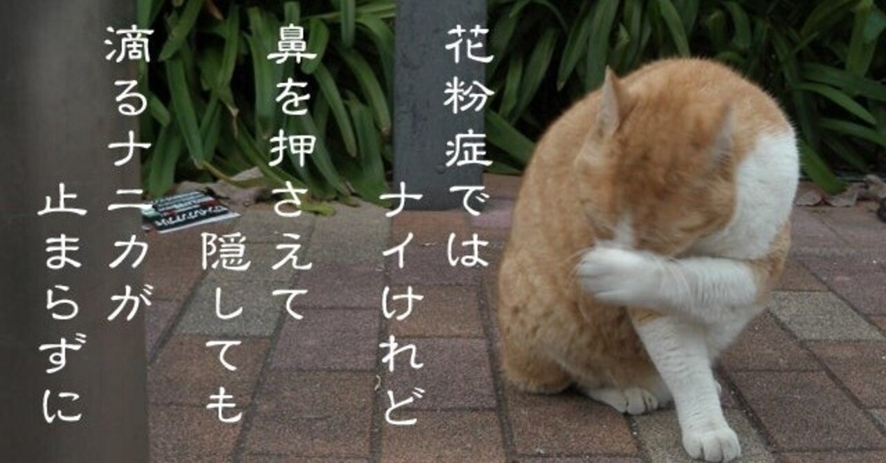 アレグラ」の新着タグ記事一覧｜note u2015u2015つくる、つながる、とどける。