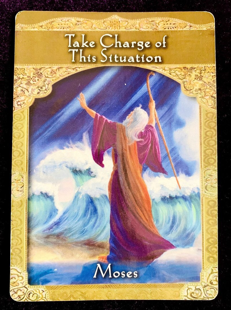 Today S Message 2 25 タイミングを待つ Hearts Tarot Note