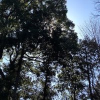 グルテンフリーお試し中 小川奈緒 Note