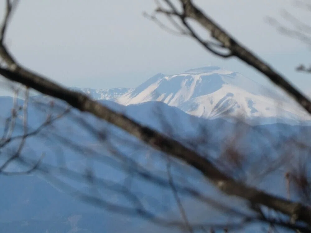 画像11