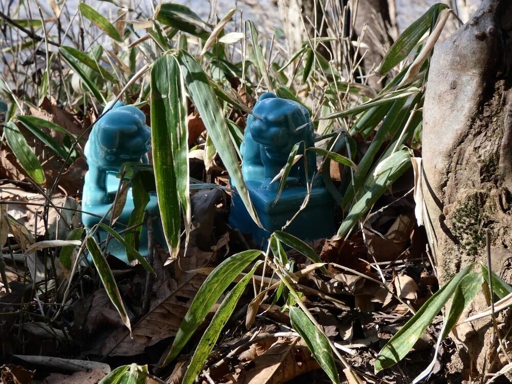 画像12