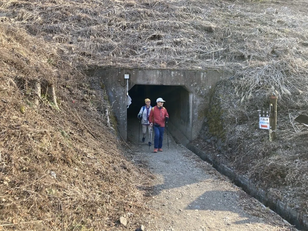 画像13