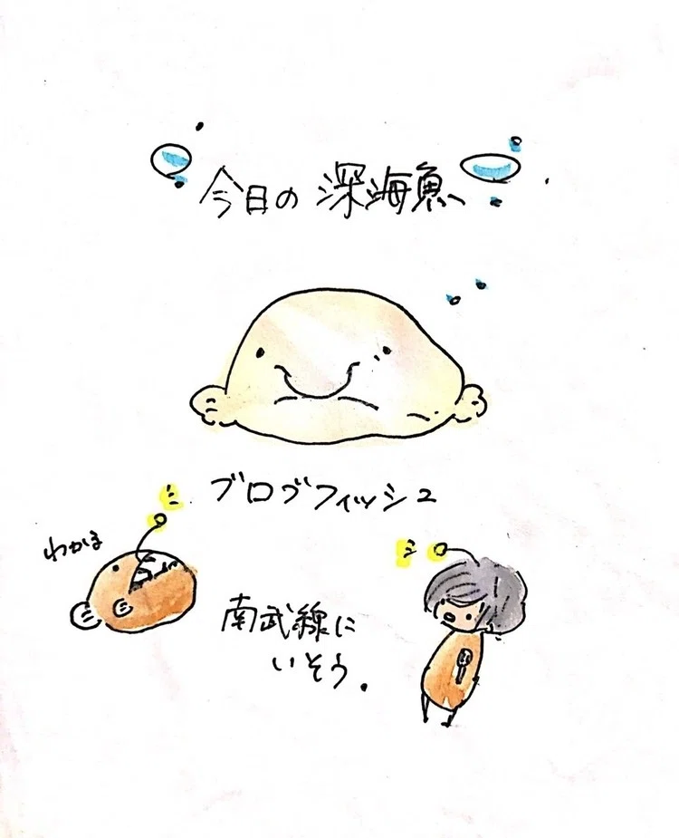 うみのなか Com 深海魚 あやぽ Note