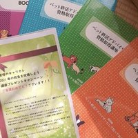トリマーだった私がペットロスカウンセラーとして開業した理由 松永由美 ペットロスカウンセラー Note トリマーだった私がペットロスカウンセラーとして開業した理由 松永由美 ペットロスカウンセラー Note