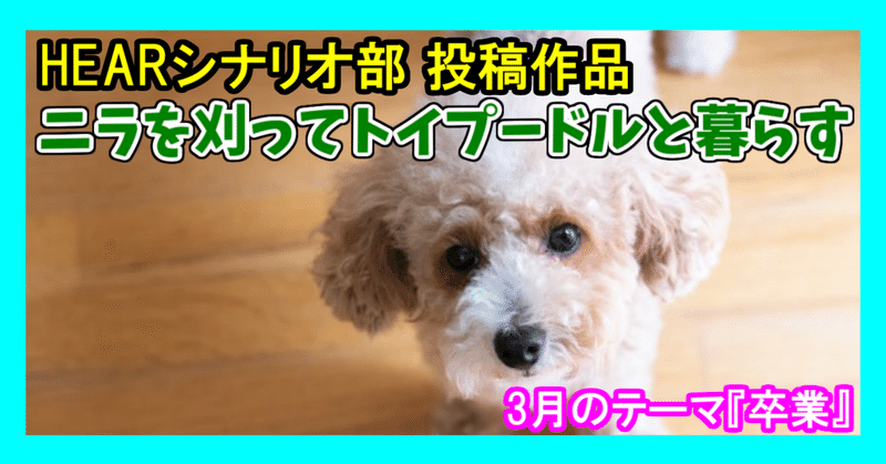 Hearシナリオ部 21年3月のシナリオ ニラを刈ってトイプードルと暮らす 竹乃子椎武 たけのこ しいたけ Note Hearシナリオ部 21年3月のシナリオ ニラを刈ってトイプードルと暮らす 竹乃子椎武 たけのこ しいたけ Note