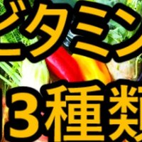 西洋教育史の名言集 ほいくん 保育士note Note 西洋教育史の名言集 ほいくん 保育士note Note