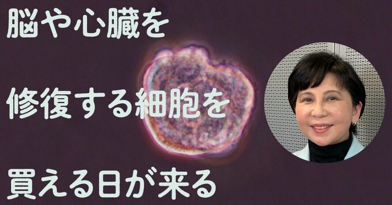 ミューズ細胞 の再生医療革命 脳や心臓を修復する細胞が買える日が来る 文藝春秋digital