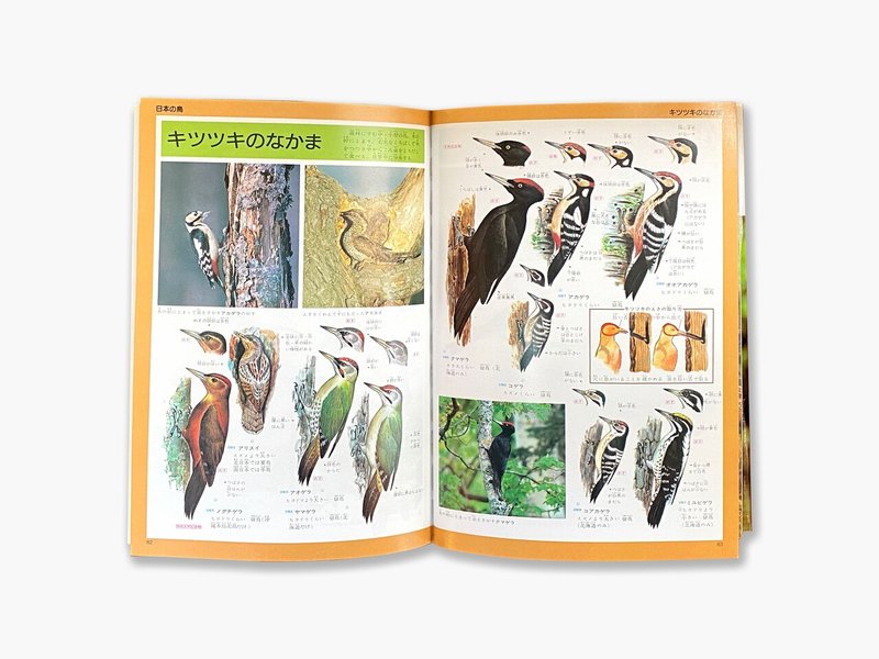 Vol 42 野外観察図鑑5 鳥 とりたち Note