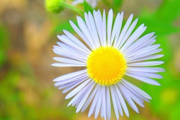 ハルシオンじゃないよ の新着タグ記事一覧 Note つくる つながる とどける ハルシオンじゃないよ の新着タグ記事一覧 Note つくる つながる とどける