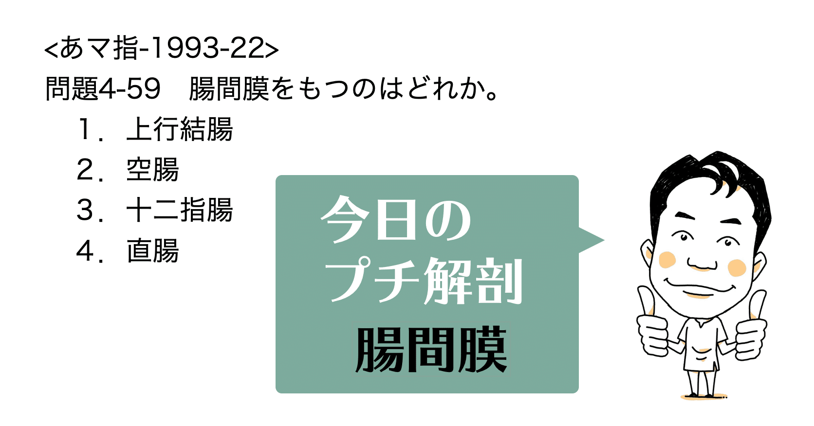 今日のプチ解剖：腸間膜をもつのは？｜黒澤一弘｜note