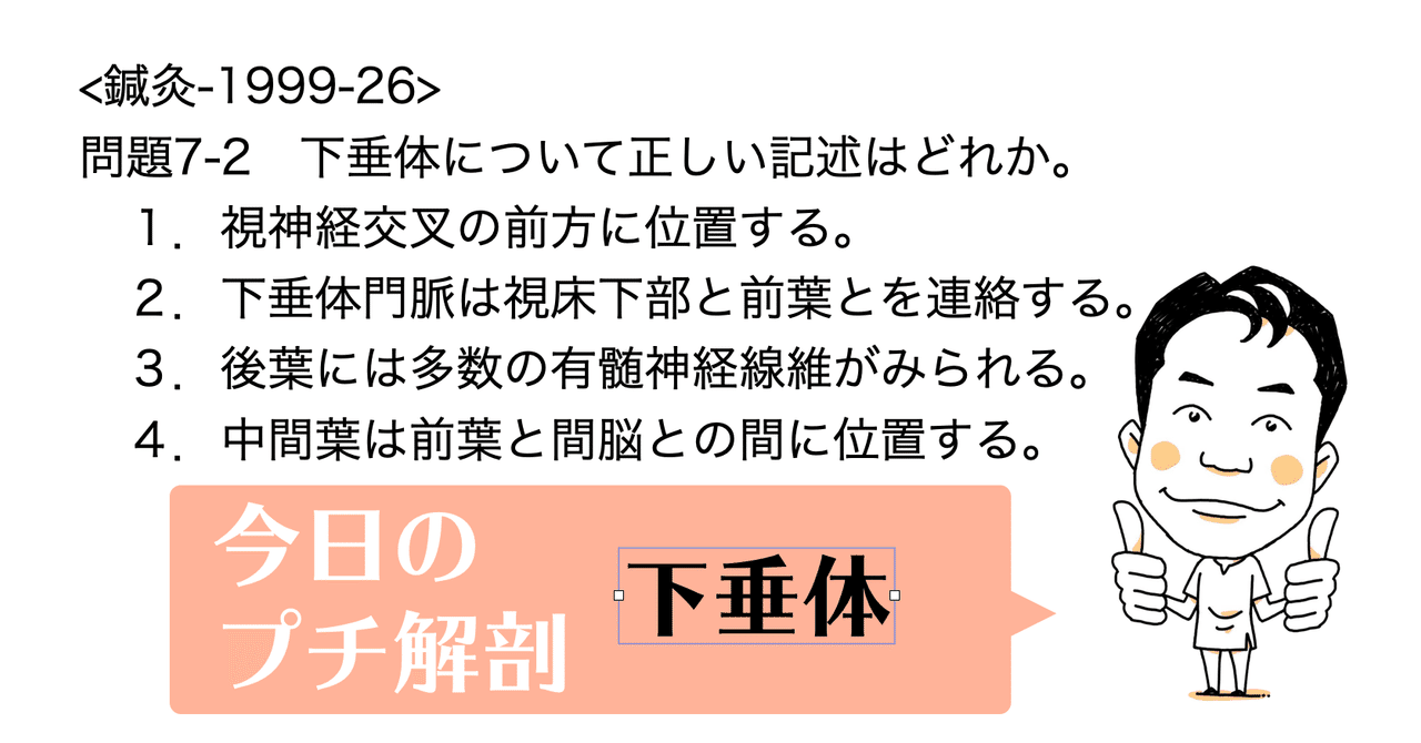 今日のプチ解剖 下垂体について正しいのはどれ 黒澤一弘 Note