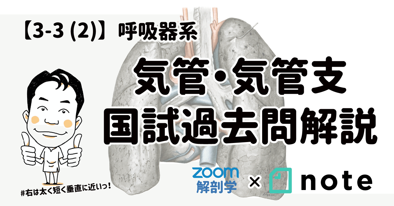 質問も可能！】看護師国家試験対策（解剖生理学/呼吸器）解説