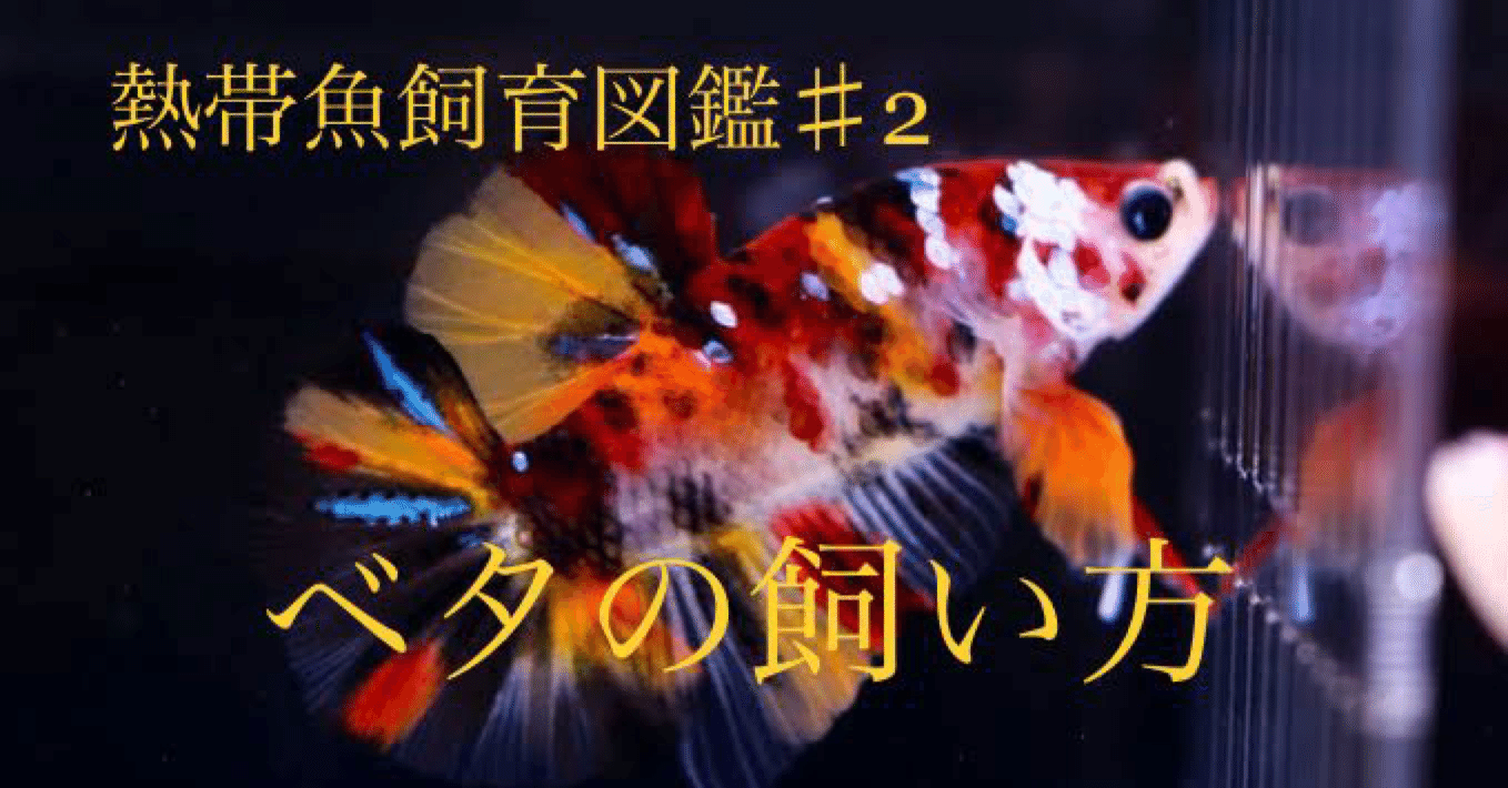 熱帯魚飼育図鑑 2 ベタ Nature Path Note 熱帯魚飼育図鑑 2 ベタ Nature Path Note
