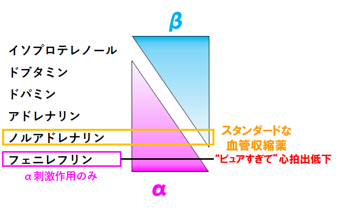 画像16