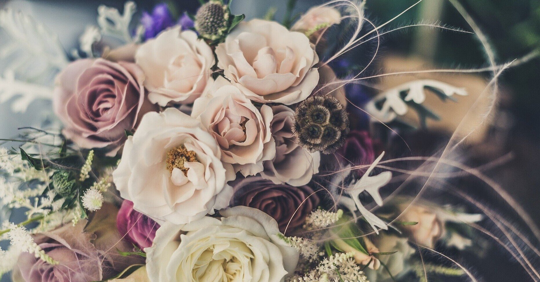 おすすめの花屋さん30選 花 観葉植物 ドライフラワー 都内 インタビューズ とある広告クリエイターの楽屋話 Note おすすめの花屋さん30選 花 観葉植物 ドライフラワー 都内 インタビューズ とある広告クリエイターの楽屋話 Note